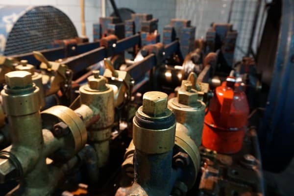 Foto 17 da atividade Galeria de Fotos