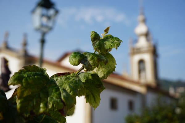 Foto 10 da atividade Galeria de Fotos