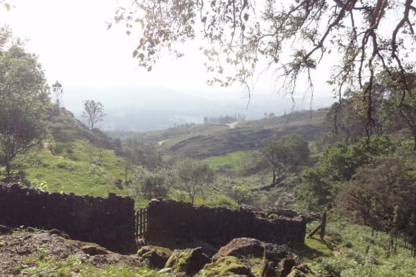 Foto 67 da atividade Galeria de Fotos