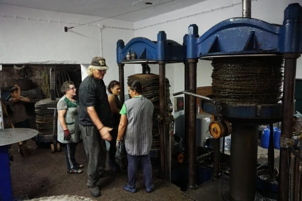 Foto 1 da atividade Galeria de Fotos