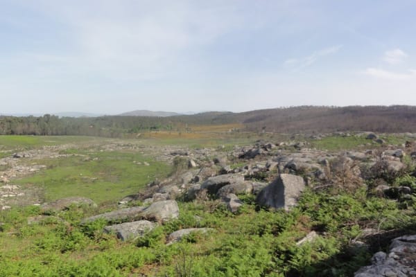 Foto 55 da atividade Galeria de Fotos