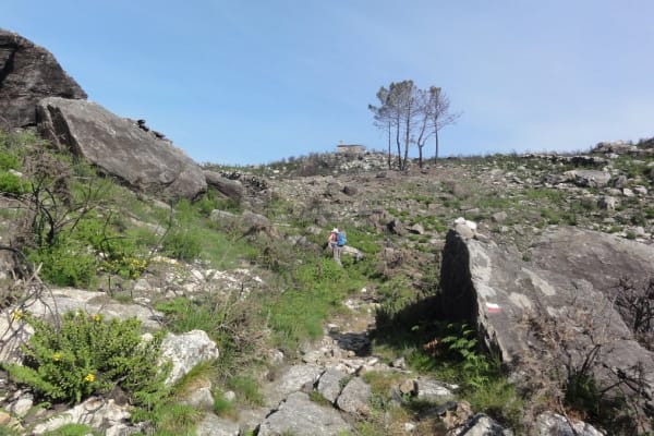 Foto 51 da atividade Galeria de Fotos