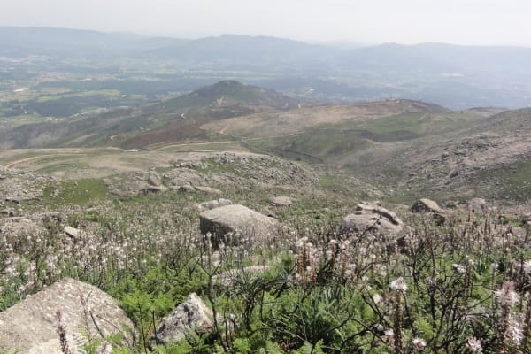 Foto 47 da atividade Galeria de Fotos