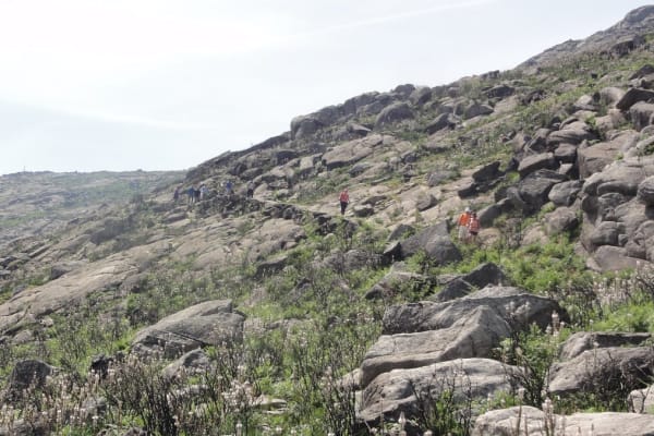 Foto 44 da atividade Galeria de Fotos