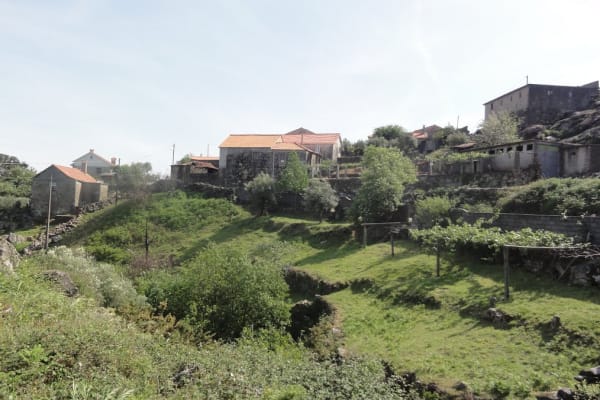 Foto 42 da atividade Galeria de Fotos