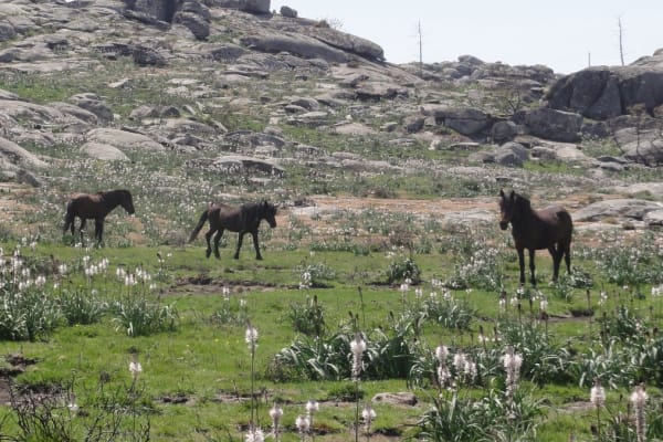 Foto 28 da atividade Galeria de Fotos