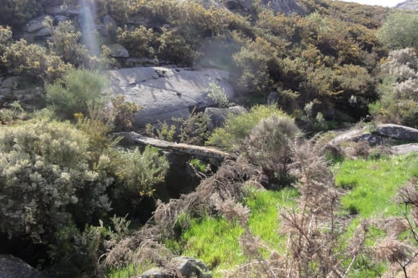 Foto 12 da atividade Galeria de Fotos