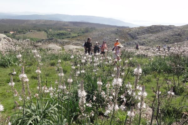 Foto 6 da atividade Galeria de Fotos