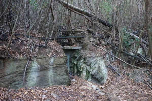 Foto 56 da atividade Galeria de Fotos