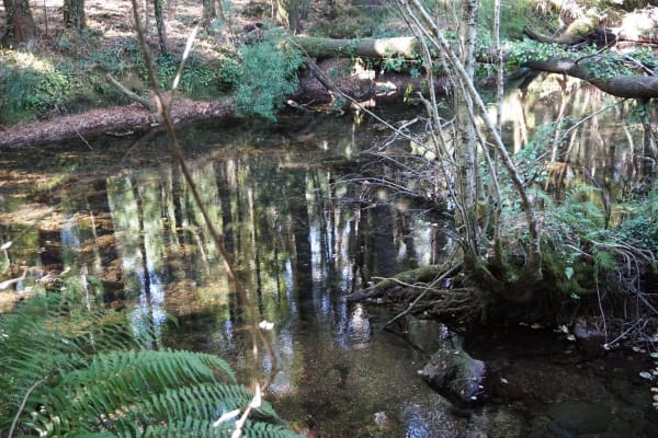 Foto 45 da atividade Galeria de Fotos