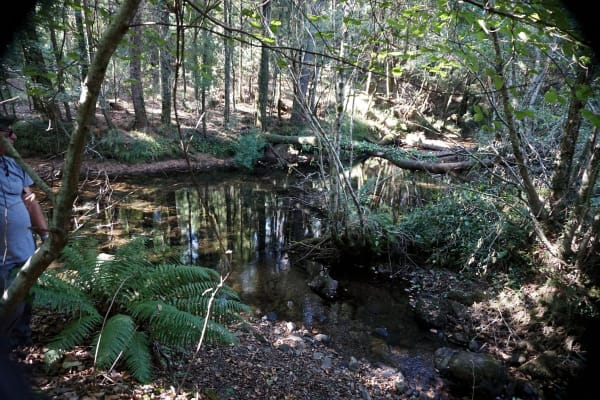 Foto 38 da atividade Galeria de Fotos