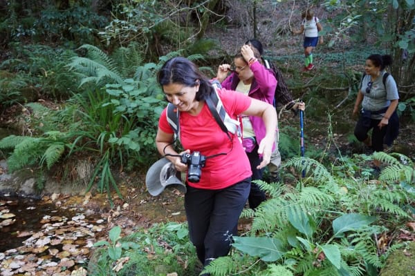 Foto 36 da atividade Galeria de Fotos