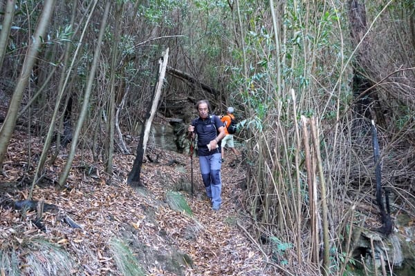 Foto 11 da atividade Galeria de Fotos