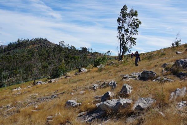 Foto 5 da atividade Galeria de Fotos