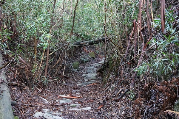 Foto 113 da atividade Galeria de Fotos