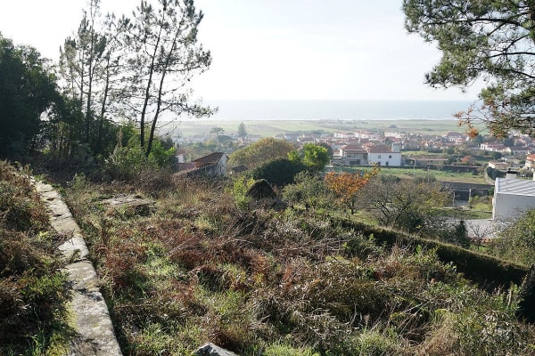 Foto 97 da atividade Galeria de Fotos