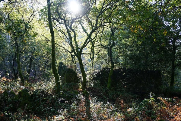 Foto 91 da atividade Galeria de Fotos