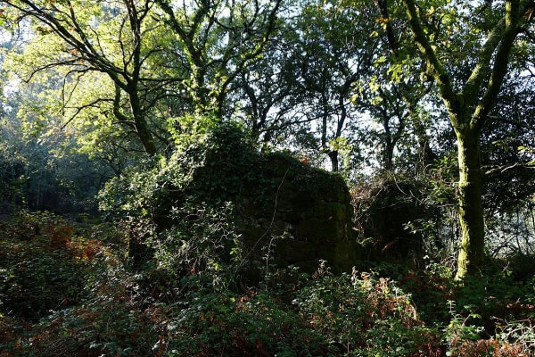 Foto 85 da atividade Galeria de Fotos