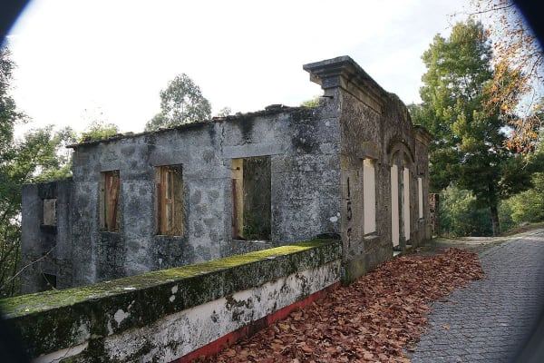 Foto 78 da atividade Galeria de Fotos