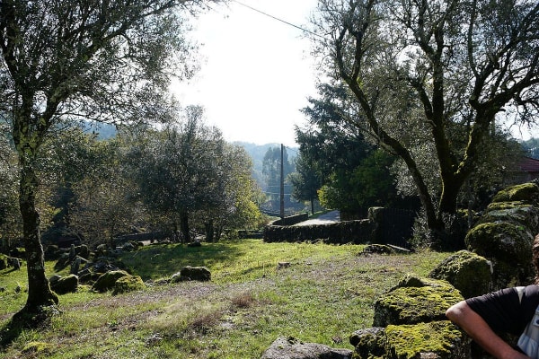 Foto 76 da atividade Galeria de Fotos