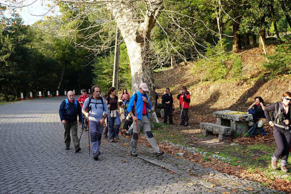 Foto 70 da atividade Galeria de Fotos