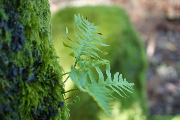 Foto 64 da atividade Galeria de Fotos