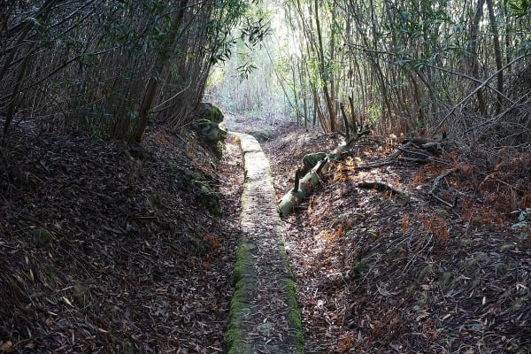 Foto 57 da atividade Galeria de Fotos