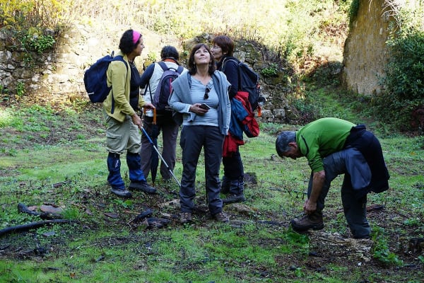 Foto 51 da atividade Galeria de Fotos