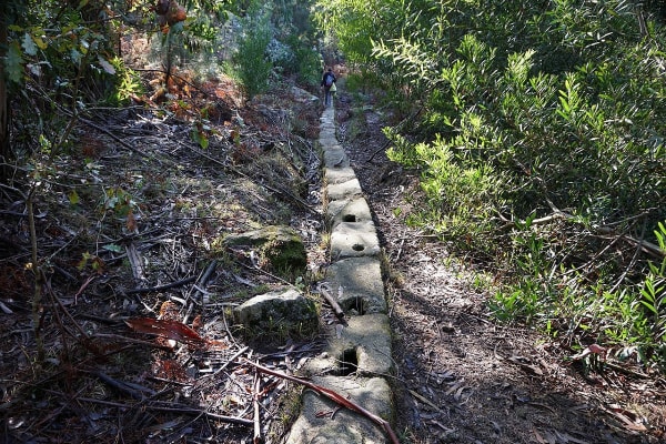 Foto 53 da atividade Galeria de Fotos