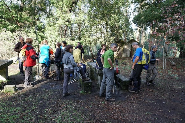 Foto 40 da atividade Galeria de Fotos