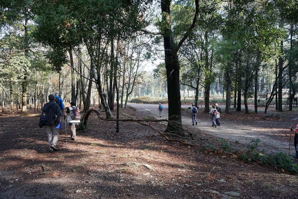 Foto 39 da atividade Galeria de Fotos