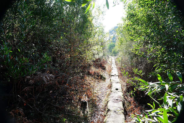 Foto 24 da atividade Galeria de Fotos