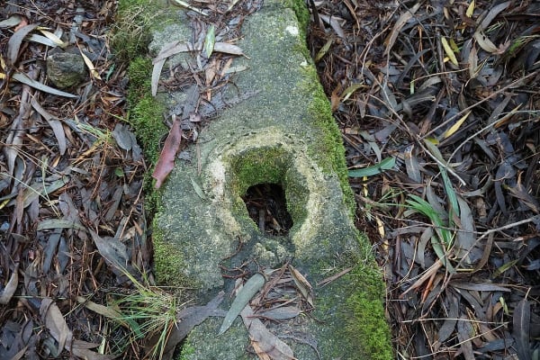 Foto 23 da atividade Galeria de Fotos