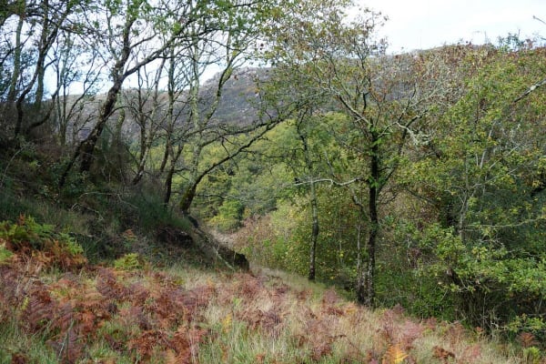 Foto 107 da atividade Galeria de Fotos