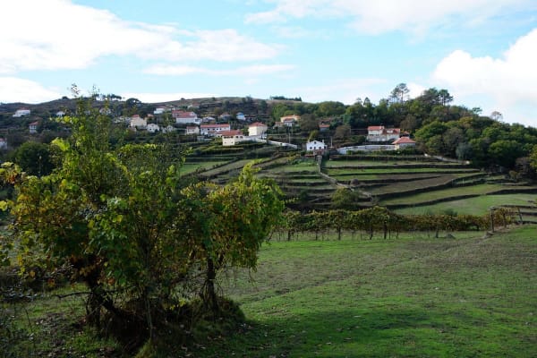 Foto 98 da atividade Galeria de Fotos