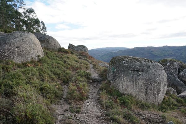 Foto 90 da atividade Galeria de Fotos