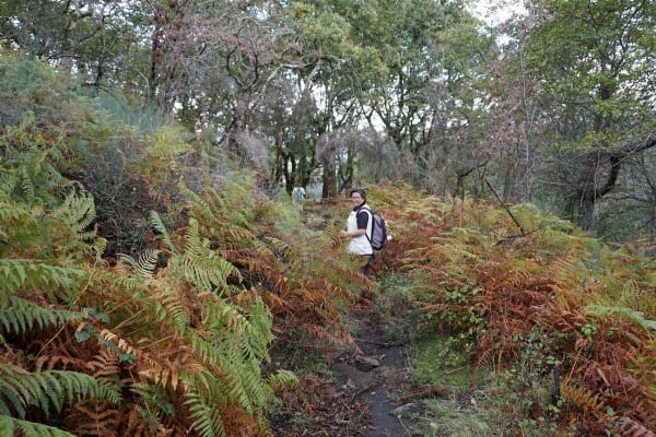 Foto 67 da atividade Galeria de Fotos