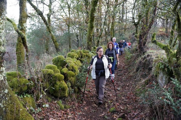 Foto 43 da atividade Galeria de Fotos