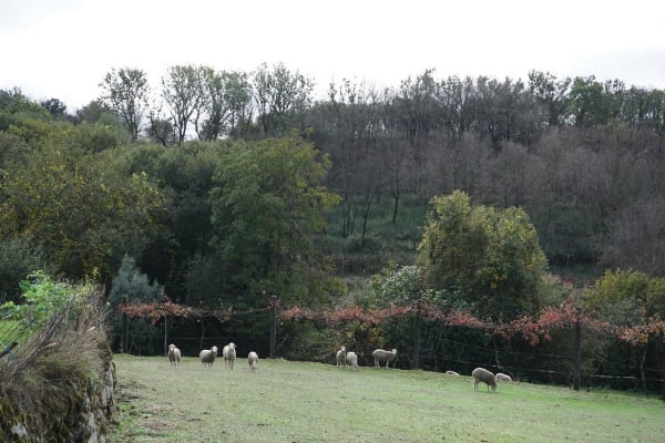 Foto 20 da atividade Galeria de Fotos