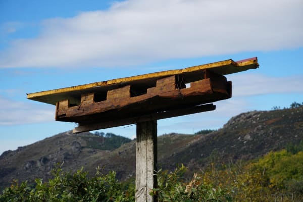 Foto 13 da atividade Galeria de Fotos