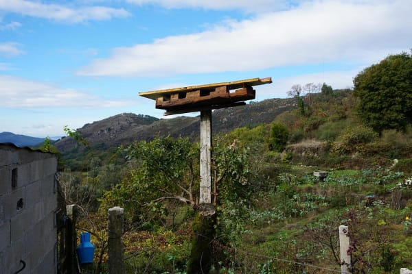 Foto 1 da atividade Galeria de Fotos