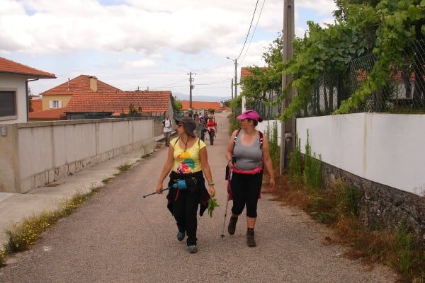 Foto 72 da atividade Galeria de Fotos