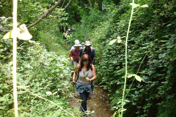 Foto 54 da atividade Galeria de Fotos