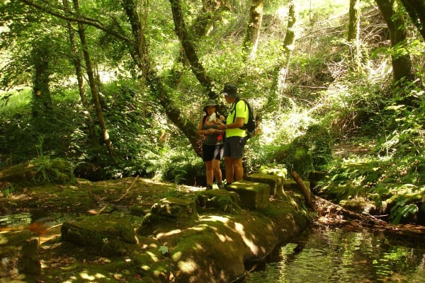 Foto 41 da atividade Galeria de Fotos