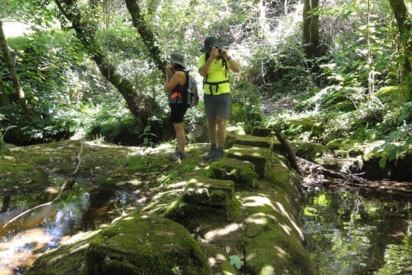 Foto 24 da atividade Galeria de Fotos