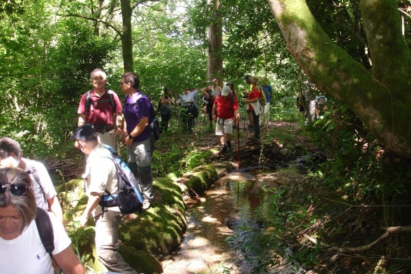 Foto 20 da atividade Galeria de Fotos