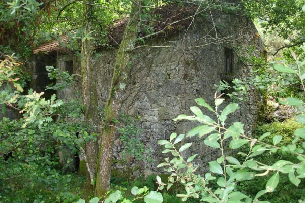 Foto 15 da atividade Galeria de Fotos