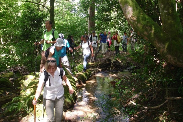 Foto 13 da atividade Galeria de Fotos