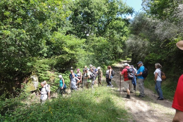 Foto 6 da atividade Galeria de Fotos