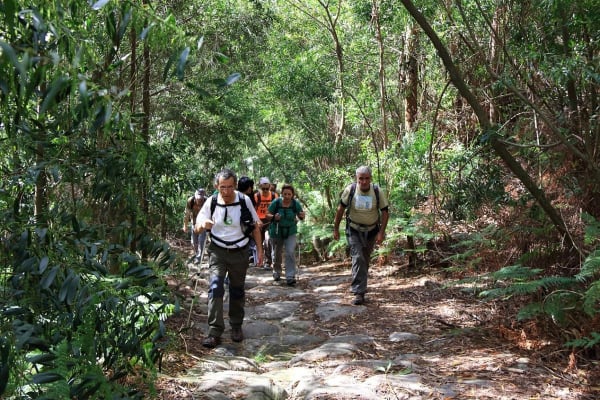 Foto 37 da atividade Galeria de Fotos